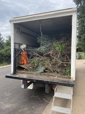 Yard Waste Removal - This project we completed for some Greeley locals included cleaning up a truckload of hedges the client had removed. We were able to get over on the same day to have everything cleared up and hauled away to have their lawn looking tidy once again! Yard Waste Removal - This project we completed for some Greeley locals included cleaning up a truckload of hedges the client had removed. We were able to get over on the same day to have everything cleared up and hauled away to have their lawn looking tidy once again!