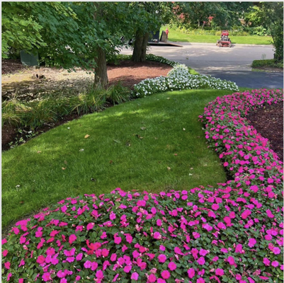 Landscaping Services - The Grass Is Greener With Us
Get commercial or residential landscaping services in Mundelein, IL
The perfect landscape has lush, green grass, colorful shrubs and manicured trees. Without professional help, creating that perfect landscape can be almost impossible. You can turn to JGM Landscaping to get the lawn your home or business deserves. We offer both commercial and residential landscaping services in Mundelein, IL. From the initial landscape design to the actual planting and mulching process, we'll work with you every step of the way to ensure flawless results.
Schedule residential or commercial landscaping services today by calling 224-475-5627. Landscaping Services - The Grass Is Greener With Us
Get commercial or residential landscaping services in Mundelein, IL
The perfect landscape has lush, green grass, colorful shrubs and manicured trees. Without professional help, creating that perfect landscape can be almost impossible. You can turn to JGM Landscaping to get the lawn your home or business deserves. We offer both commercial and residential landscaping services in Mundelein, IL. From the initial landscape design to the actual planting and mulching process, we'll work with you every step of the way to ensure flawless results.
Schedule residential or commercial landscaping services today by calling 224-475-5627.