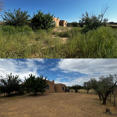 Landscape Maintenance - This clean up was done on a property with overgrown weeds and trees that needed trimming of dead and overgrown limbs. Landscape Maintenance - This clean up was done on a property with overgrown weeds and trees that needed trimming of dead and overgrown limbs.
