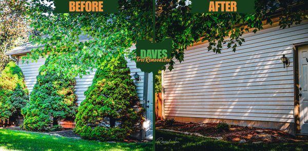 Daves Tree Removal Work in Action - For the #1 tree service in Medina, Ohio, look no further. Get your free estimate in Medina County today! We handle tree trimming, removal, stump grinding, and emergency services. No job is too big or small for us. Give us a shout, and let's make your trees thrive! You can also find us on youtube, nextdoor, facebook, and google! www.DavesTreeRemovalinc.com