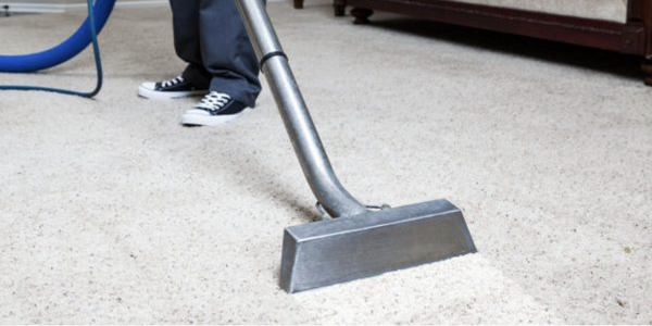 Carpet Cleaning - Remove Stains: wine, pet stains, urine, home and office
