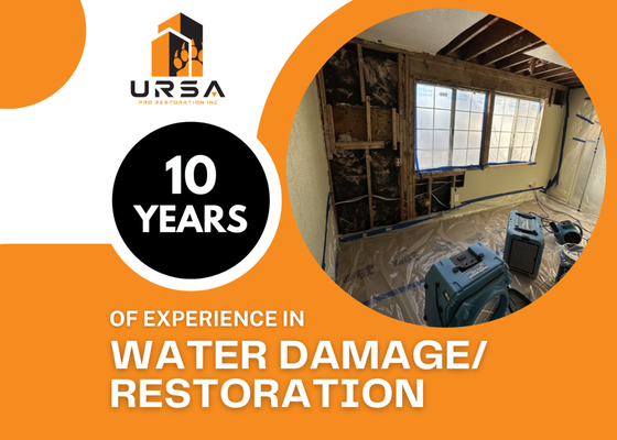 10 Years of Water Damage & Mold Remediation Experience - Ursa Pro Restoration - a company based in West Hollywood, Los Angeles, that has grown from a small handyman business into a trusted name in property restoration and remodeling. We have more than 10 years of experience!
For over 10 years, Ursa Pro Restoration has been providing 24/7 emergency water damage restoration and mold remediation across Los Angeles.
This project highlights what homeowners can expect when working with our team — fast response, clear communication, and results that truly restore your home.
Water Damage Services Included:
• Emergency water extraction to stop damage immediately
• Structural drying & dehumidification — moisture back to safe levels in 3–5 days
• Equipment setup (air movers, dehus, HEPA) for proper dry-out
• Sanitizing & odor removal
• Insurance-friendly documentation
Mold Remediation Steps Featured:
• Inspection & moisture assessment
• Containment & negative air pressure to prevent cross-contamination
• HEPA mold removal
• Post-remediation verification — clean, safe, odor-free results
Outcome:
Clean, dry, and fully restored space — ready for rebuild without moisture or mold returning.
We take pride in providing fast, professional, and thorough service for every homeowner we help. 10 Years of Water Damage & Mold Remediation Experience - Ursa Pro Restoration - a company based in West Hollywood, Los Angeles, that has grown from a small handyman business into a trusted name in property restoration and remodeling. We have more than 10 years of experience!
For over 10 years, Ursa Pro Restoration has been providing 24/7 emergency water damage restoration and mold remediation across Los Angeles.
This project highlights what homeowners can expect when working with our team — fast response, clear communication, and results that truly restore your home.
Water Damage Services Included:
• Emergency water extraction to stop damage immediately
• Structural drying & dehumidification — moisture back to safe levels in 3–5 days
• Equipment setup (air movers, dehus, HEPA) for proper dry-out
• Sanitizing & odor removal
• Insurance-friendly documentation
Mold Remediation Steps Featured:
• Inspection & moisture assessment
• Containment & negative air pressure to prevent cross-contamination
• HEPA mold removal
• Post-remediation verification — clean, safe, odor-free results
Outcome:
Clean, dry, and fully restored space — ready for rebuild without moisture or mold returning.
We take pride in providing fast, professional, and thorough service for every homeowner we help.
