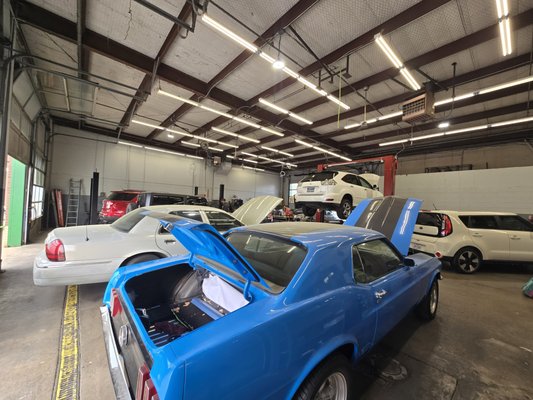 Cars need spring cleaning too! - Spring is in the air and every car deserves a little love!  Bring your car in for a tune-up, make sure your AC is blowing cold before the summer heat, flush your transmission fluids, check your steering, alignments and suspensions.  Whatever situation is starting to bloom - we can make it right!