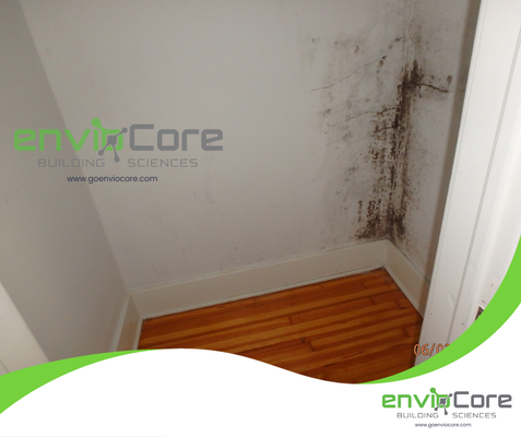 Closet Asbestos Testing - We did a PLM Asbestos testing on this closet way back 2016 Closet Asbestos Testing - We did a PLM Asbestos testing on this closet way back 2016