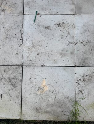 Backyard Pressure Washing - We recently completed a backyard pressure washing project for a client who wanted to restore the look and feel of their outdoor space. Over time, dirt, algae, and surface stains had built up across the concrete patio and surrounding areas, making the space look worn and dull. Using professional-grade equipment and careful attention to detail, we thoroughly cleaned every surface, lifting years of buildup and revealing a fresh, like-new finish underneath. The transformation not only improved the appearance of the backyard but also created a cleaner, safer environment for everyday use and entertaining. The client was extremely pleased with the results and excited to enjoy their refreshed outdoor space.