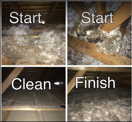 Before and After cleanup and insulation install! - Before and after photos of cleanup and insulation reinstall.