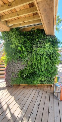 Living - We specialize in installing vertical green wall gardens. Our retail front includes a variety of exotic houseplants, orchids, succulents, cacti, and planters.
