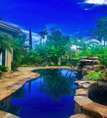 Magnificent pools - Transforming yards into imaginative and enjoyable outdoor environments has been the business of Blue Sky Landscaping since 1984. Our experience shows in awards for design excellence and consistency of satisfied customers. Magnificent pools - Transforming yards into imaginative and enjoyable outdoor environments has been the business of Blue Sky Landscaping since 1984. Our experience shows in awards for design excellence and consistency of satisfied customers.