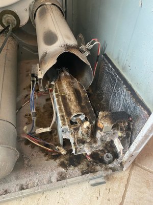 Dryer Repair - At Steve Slaton Appliance Repair, we provide expert dryer repair for both gas and electric models. From dryers that won’t heat, won’t start, or take too long to dry, to problems with noisy drums, sensors, or control boards — our skilled technicians can fix it all. We handle common issues like heating elements, thermostats, and belts, as well as complex electronic failures. With 15 years of trusted service in the community, we pride ourselves on fast, reliable repairs backed by a one-year warranty, so you can get your laundry done without the hassle. Dryer Repair - At Steve Slaton Appliance Repair, we provide expert dryer repair for both gas and electric models. From dryers that won’t heat, won’t start, or take too long to dry, to problems with noisy drums, sensors, or control boards — our skilled technicians can fix it all. We handle common issues like heating elements, thermostats, and belts, as well as complex electronic failures. With 15 years of trusted service in the community, we pride ourselves on fast, reliable repairs backed by a one-year warranty, so you can get your laundry done without the hassle.