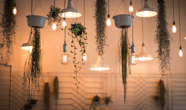 Commercial Services - Lion Group Electrical specializes in residential and commercial services. Whether you need a small wiring fix or the installation of state-of-the-art smart home, we get the job done right. 

Call or text us for your consultation!