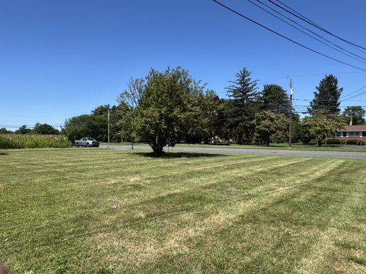 2025 - Residential Mowing. - Pricing varies based on property size and services requested.
Weekly maintenance is mowing edging and blowing 2025 - Residential Mowing. - Pricing varies based on property size and services requested.
Weekly maintenance is mowing edging and blowing