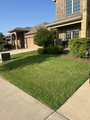 Mowing on 8/22/2024 - Lawn on 8/22/2024 Argyle,Tx Mowing on 8/22/2024 - Lawn on 8/22/2024 Argyle,Tx