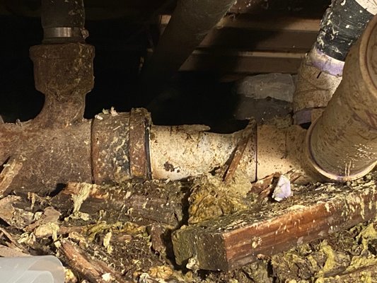 Is your main backed up? - Make sure you hire someone that knows what they are doing. This broken section of the main leading into this home was caused by another company's cabling guy. Is your main backed up? - Make sure you hire someone that knows what they are doing. This broken section of the main leading into this home was caused by another company's cabling guy.