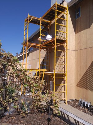 REPLACE SIDING AND PAINTING... - REPLACE SIDING AND PAINTING...