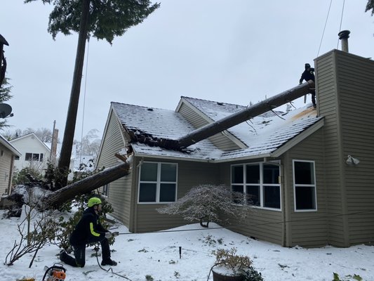Emergency Services - We offer emergency services and can be reached 24/7, we have our own crane as well as other equipment to get the job done