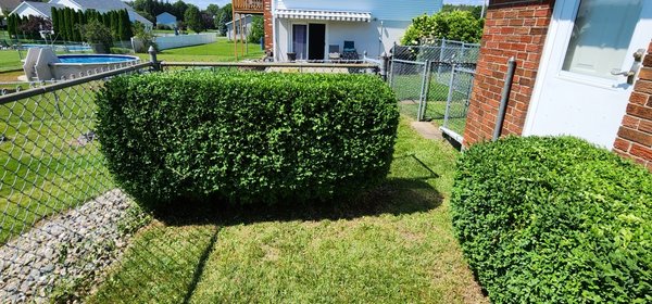 Residential Yard 2 - The customer called from out of state to have property properly maintained.