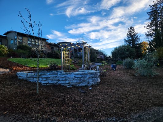 Restoration At Mill Station - This yard remodel granted these owners with a forever-built seating area, an olive grove that produces food grade olives, and a 1200 square foot lawn fortified with gopher wire and kept green with ultra efficient rotators. 

Our biggest challenge was, yet again, access. All the goods had to be moved from a frontage road all the way through a forest trail and around the back. One trip with the skid loader took almost five minutes, but in three days, we finished the materials movement. 

Some side notes: The seating ring wall was constructed with handpicked bluestone and a special mortar recipe from a late and great stonemason. It can be applied thick and has far superior compressive strength to most mortars in the store. Much more special than a plain old deck!