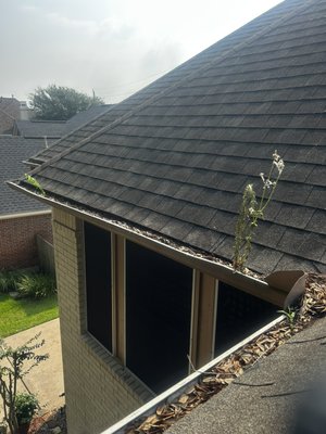 Reliable Gutter Services - At Three Guys Pressure Washing, we specialize in thorough, reliable gutter cleaning and maintenance to protect your home from water damage. With over a decade of hands-on experience, we remove debris, unclog downspouts, and ensure your gutters work flawlessly—keeping your property safe and sound year-round.