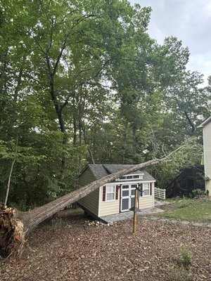 Lake Monticello Storm Damage - Healthy tree fell on our customers shed and back porch after heavy winds from a storm. We got it done safely, hauled away and shed fixed in a day.