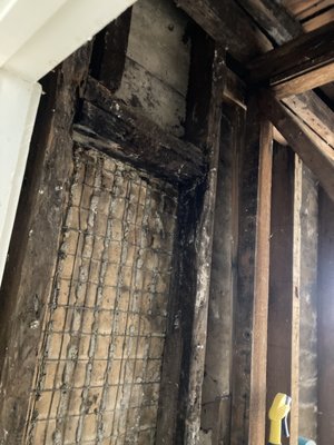 Mold Removal - Mold remediation job in bathroom.