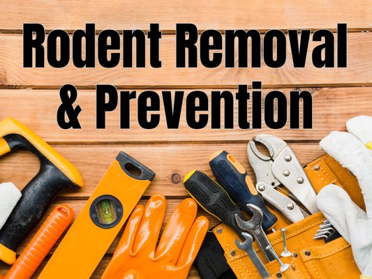 Rodent Control - We offer free quotes for rodent removal and prevention Rodent Control - We offer free quotes for rodent removal and prevention