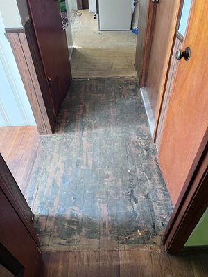 Zack’s Refinishing Project - Sometimes the best transformation is the one that lets the wood speak for itself. ✨
These hardwood floors were professionally refinished using a water-based natural clear coat in a semi-gloss finish, bringing out their true beauty while providing long-lasting protection. Clean, timeless, and ready for years of memories. Zack’s Refinishing Project - Sometimes the best transformation is the one that lets the wood speak for itself. ✨
These hardwood floors were professionally refinished using a water-based natural clear coat in a semi-gloss finish, bringing out their true beauty while providing long-lasting protection. Clean, timeless, and ready for years of memories.