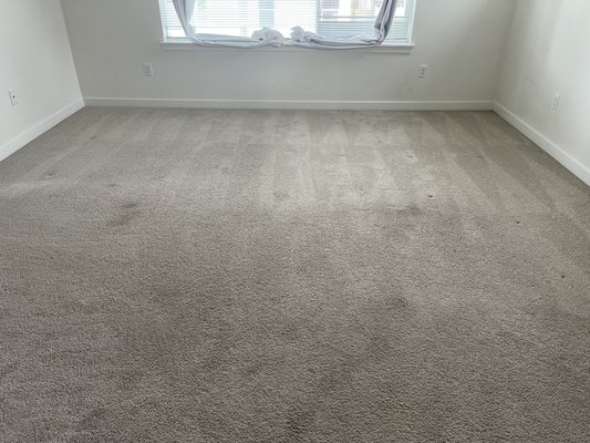 3 bedroom cleaning - 3 bedroom cleaning, the carpets were slightly worn out and stained. We left the homeowner very satisfied with the cleaning. 3 bedroom cleaning - 3 bedroom cleaning, the carpets were slightly worn out and stained. We left the homeowner very satisfied with the cleaning.
