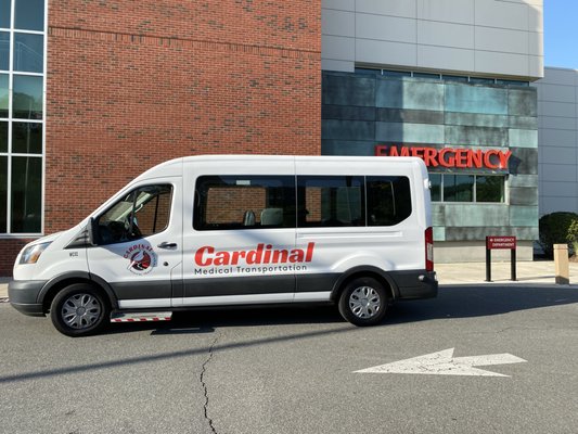 Hard worker joining our team! - Meet new hard worker, joining our team!
Comfortable and powerful Transit!