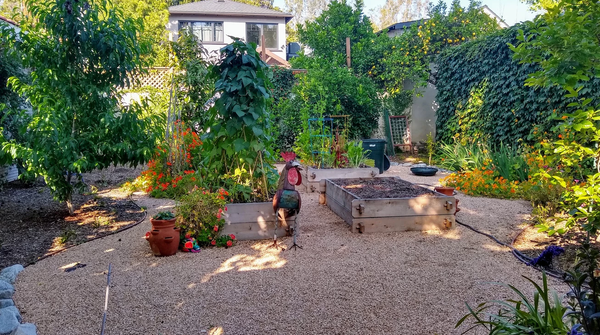 Planters and Vegetables - Planter and Vegetables Planters and Vegetables - Planter and Vegetables