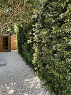 Mediterranean Courtyard Retreat – Gravel Patio, Olive Trees & Privacy Hedge Installation | HighLand Park, CA - This project showcases the installation of privacy hedges for a customer. The pictures shows a row of dense and lush green hedges being planted along the perimeter of the property, creating a natural and effective barrier between the homeowner's yard and the outside world. The hedges are carefully spaced and meticulously trimmed providing both privacy and aesthetic appeal to the landscape. The installation of these privacy hedges not only enhances the beauty of the property but also adds a sense of seclusion and tranquility to the outdoor space. A total of 50 privacy hedges installed. Mediterranean Courtyard Retreat – Gravel Patio, Olive Trees & Privacy Hedge Installation | HighLand Park, CA - This project showcases the installation of privacy hedges for a customer. The pictures shows a row of dense and lush green hedges being planted along the perimeter of the property, creating a natural and effective barrier between the homeowner's yard and the outside world. The hedges are carefully spaced and meticulously trimmed providing both privacy and aesthetic appeal to the landscape. The installation of these privacy hedges not only enhances the beauty of the property but also adds a sense of seclusion and tranquility to the outdoor space. A total of 50 privacy hedges installed.