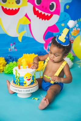 1st Birthday Cake Smash - Document your baby's 1st year with a fun cake smash photoshoot! They will love tasting a custom-made cake in any theme or colors of your choice and we will capture candid, genuine smiles! 1st Birthday Cake Smash - Document your baby's 1st year with a fun cake smash photoshoot! They will love tasting a custom-made cake in any theme or colors of your choice and we will capture candid, genuine smiles!