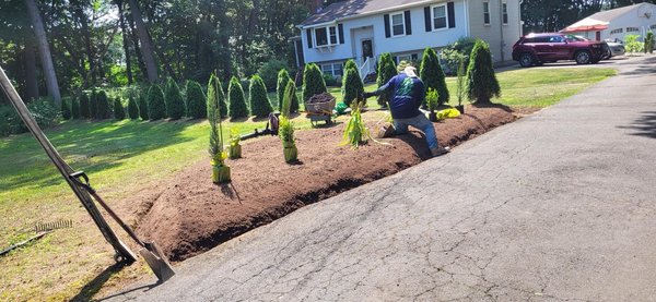 Garden Revival: Planting & Sod Solutions - Garden Revival highlights Amorales Landscaping’s passion for transforming outdoor spaces through expert flower planting, sod installation, and mulch application. Our skilled team carefully selects and installs vibrant plants, fresh sod, and high-quality mulch to boost curb appeal and foster healthy, beautiful landscapes. This portfolio demonstrates our dedication to crafting inviting gardens and lush lawns that homeowners and businesses are proud to enjoy.