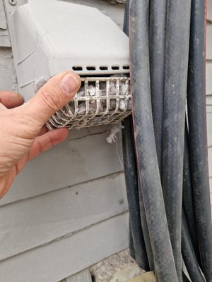 Cleaning refrigerator coils in San Diego - Cleaning refrigerator coils in San Diego Cleaning refrigerator coils in San Diego - Cleaning refrigerator coils in San Diego