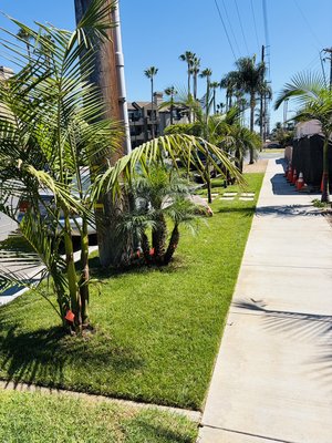 Sod Jobs - Lots of fun projects!