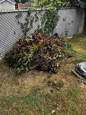 Junk Removal July 2025 - Junk and Pool Removal from July 2025 Junk Removal July 2025 - Junk and Pool Removal from July 2025