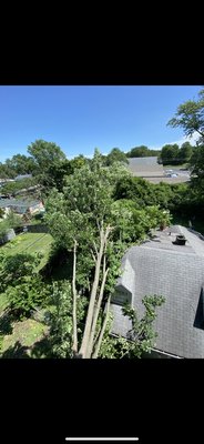 Emergency removal - Called out for a tree on a house. Was able to get homeowner safe and roof in dry. Job was billed directly to insurance company as always for insurance work. After claim is filed I handle the rest. Emergency removal - Called out for a tree on a house. Was able to get homeowner safe and roof in dry. Job was billed directly to insurance company as always for insurance work. After claim is filed I handle the rest.
