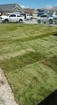 Grass Installation - Residential Grass Installation 🌿🍃 Grass Installation - Residential Grass Installation 🌿🍃