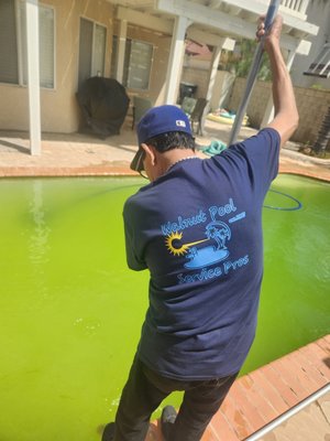 Green 2 Clean - Got a call from this customer for a green to clean service.  It looks like it has gone untreated for some time.  We will work our magic and have it back and ready from summer.  Stay tuned for the follow-up photos.  follow up photos day 3 uploaded.  Wow!!!