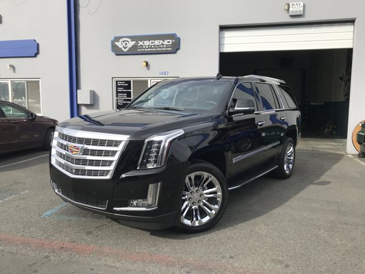 Cadillac Vehicles - Cadillac Escalade 2019 Detail Restoration Paint Protection Film Ceramic Coating Cadillac Vehicles - Cadillac Escalade 2019 Detail Restoration Paint Protection Film Ceramic Coating