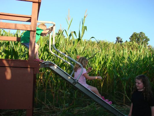 Corn Maze - Corn Maze $6.00 per person - Children 3 and Under are FREE. Purchase Corn Stalks 2 for $1.00 Corn Maze - Corn Maze $6.00 per person - Children 3 and Under are FREE. Purchase Corn Stalks 2 for $1.00