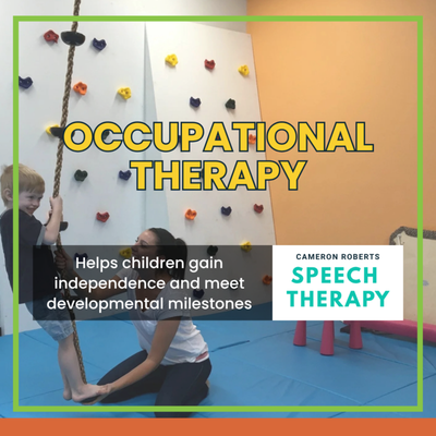 Occupational Therapy/Evaluation - Occupational Therapy/Evaluation
Pediatric occupational therapy helps children gain independence and meet developmental milestones by promoting development of the fine motor, sensory motor, and visual motor skills that children need for everyday functioning and socializing in their home, school, play, and community environments. Occupational therapy takes an individualized and holistic approach in order to help address the following:

Delays in fine motor and visual motor skills

Developmental play skills

Self-care skills including feeding, dressing, and grooming

Hand strengthening/Upper body strengthening and coordination skills required for activities such as cutting with scissors, coloring, and writing, buttoning etc.

Core strengthening

Picky eating

Self regulation skills

Body awareness

Executive functioning skills

Sensory-motor processing and integration

Neurodevelopmental treatment

Visual motor and handwriting skills

Adaptive equipment needs

Home programing