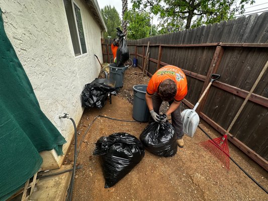 Residential junk removal - For this Chico property, our residential junk removal service focused on transforming a cluttered outdoor area by clearing away a heavy buildup of yard waste, old mulch, and mixed debris. We handled the entire process—from the heavy lifting of rocks and old materials to the final sweep—ensuring that homeowners can reclaim their space without the physical strain or safety risks of a DIY cleanup. Residential junk removal - For this Chico property, our residential junk removal service focused on transforming a cluttered outdoor area by clearing away a heavy buildup of yard waste, old mulch, and mixed debris. We handled the entire process—from the heavy lifting of rocks and old materials to the final sweep—ensuring that homeowners can reclaim their space without the physical strain or safety risks of a DIY cleanup.