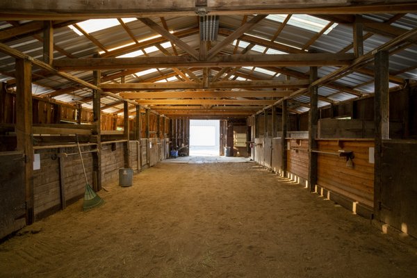 Horse Stables - Davis’s full-service horse boarding facility for your happy horse. A peaceful, quiet and friendly place for horses and their boarders. Veteran, woman and family owned. Boarding includes daily feeding, cleaning and turn out. In-door and outdoor arenas. Coming soon: larger turn out and round pen. Horse Stables - Davis’s full-service horse boarding facility for your happy horse. A peaceful, quiet and friendly place for horses and their boarders. Veteran, woman and family owned. Boarding includes daily feeding, cleaning and turn out. In-door and outdoor arenas. Coming soon: larger turn out and round pen.