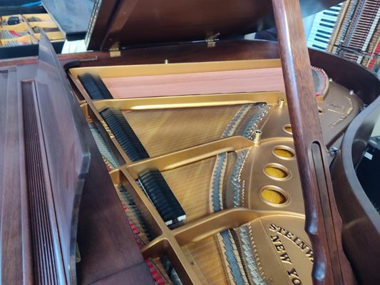 Pianos Tuned - We offer a full range of services on acoustic pianos in New York, having technicians who specialize on specific brands, or ones who only service grand pianos, or the ones who will be able to help you with any piano, as long as it is acoustic. Pianos Tuned - We offer a full range of services on acoustic pianos in New York, having technicians who specialize on specific brands, or ones who only service grand pianos, or the ones who will be able to help you with any piano, as long as it is acoustic.