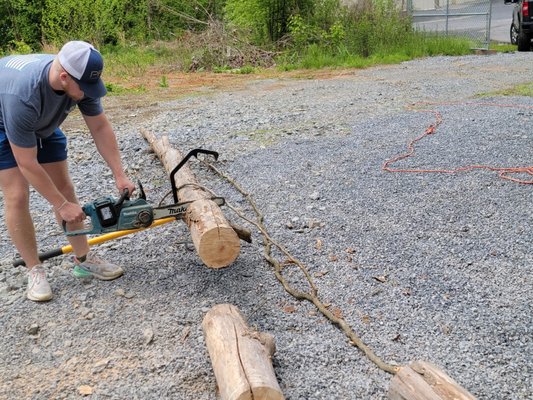 Dead tree removal. - We were called to remove a standing dead tree and haul it away. Dead tree removal. - We were called to remove a standing dead tree and haul it away.