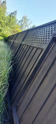Custom Staining Options - Custom Staining Options Custom Staining Options - Custom Staining Options