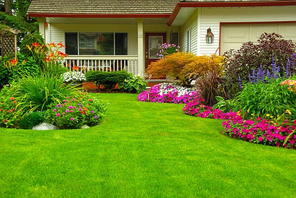 Regular Landscape Maintenance - We are laser focused on creating an amazing customer experience for both residential and commercial customers. Our main business concern will be to construct, install and maintain lawns, trees, yards, shrubs, gardens, patios, related grounds and other outdoor areas which are owned by others. All Acres Landscaping can provide a variety of Outdoor household-related services in Orlando Florida, and the surrounding areas. Whatever your outdoor needs are, All Acres Landscaping can help!