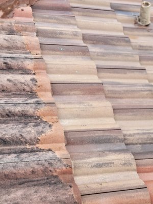 Low pressure roof cleaning - 2 story softwash roof cleaning. Low pressure roof cleaning - 2 story softwash roof cleaning.