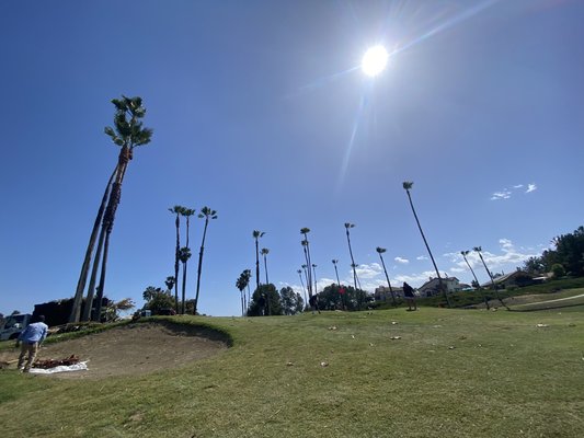Tree trimming and landscaping services - This is a Landscaping service we are offering tree pruning installation of irrigation system installation of artificial or natural grass and repair of concrete and peaver or retaining walls garden maintenance planting plants or trees installing wooden or brick metal fences laying plant drippers or planting new plants for new gardens and other services more we strive to specialize our work to satisfy the taste of our customers we are not perfect but we try to do better and we want you to feel happy and we too be happy with our jobs What do we offer to do in your home? Contact us for a free estimate and it will be a pleasure to serve you. Tree trimming and landscaping services - This is a Landscaping service we are offering tree pruning installation of irrigation system installation of artificial or natural grass and repair of concrete and peaver or retaining walls garden maintenance planting plants or trees installing wooden or brick metal fences laying plant drippers or planting new plants for new gardens and other services more we strive to specialize our work to satisfy the taste of our customers we are not perfect but we try to do better and we want you to feel happy and we too be happy with our jobs What do we offer to do in your home? Contact us for a free estimate and it will be a pleasure to serve you.