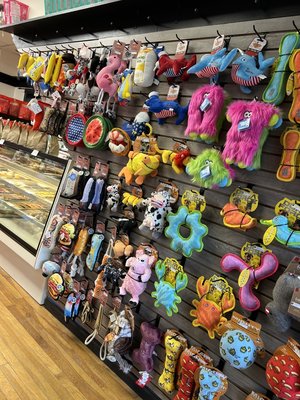 Toys! Toys! Toys! - Looking for a fun buddy for your furry friend? A gift to celebrate that special day? Maybe it’s something to chew on other than the couch? (Trust us we totally get it). Maybe a little “Welcome Home” lovin?
Be it soft and snuggly, to attention grabbing squeaks or durable and rugged, we have you covered! Toys! Toys! Toys! - Looking for a fun buddy for your furry friend? A gift to celebrate that special day? Maybe it’s something to chew on other than the couch? (Trust us we totally get it). Maybe a little “Welcome Home” lovin?
Be it soft and snuggly, to attention grabbing squeaks or durable and rugged, we have you covered!